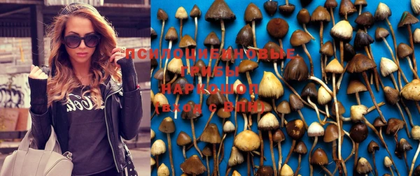 мет Арсеньев