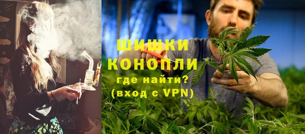 ГАЛЛЮЦИНОГЕННЫЕ ГРИБЫ Покровск