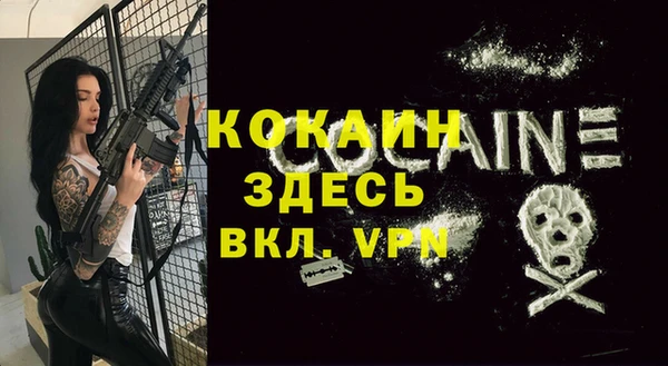 мет Арсеньев