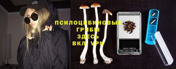 эйфоретик Аркадак