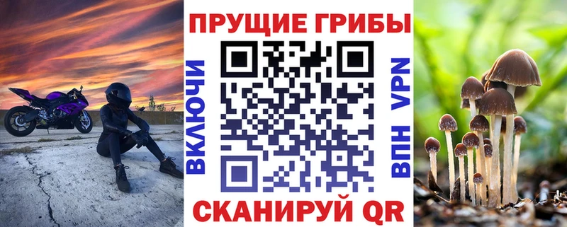 закладка Тулун Галлюциногенные грибы ЛСД