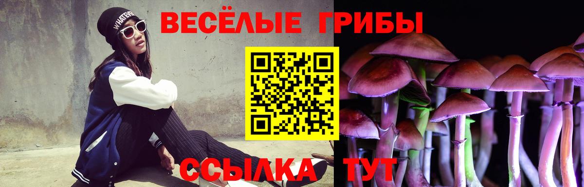 Галлюциногенные грибы GOLDEN TEACHER  Галлюциногенные грибы MAGIC MUSHROOMS  Тулун  Вход с VPN 