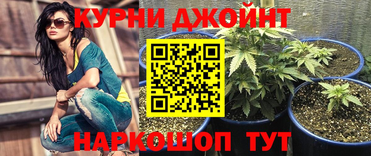 Тулун  Бошки Шишки LSD WEED  Бошки Шишки план  Вход с VPN 